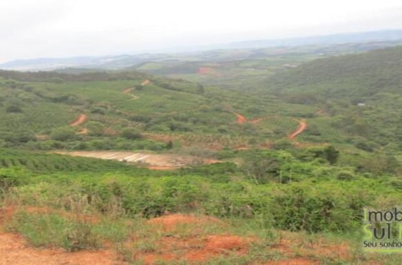 Fazenda com nascente no Sul de Minas