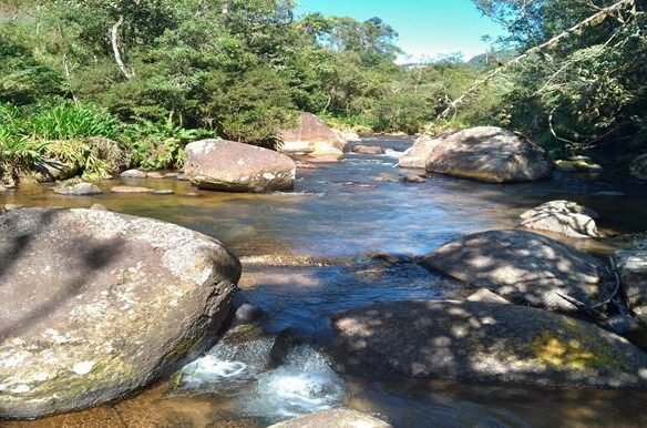 Terreno a Venda em Gonçalves MG de 10.000 m² com Rio na Divisa