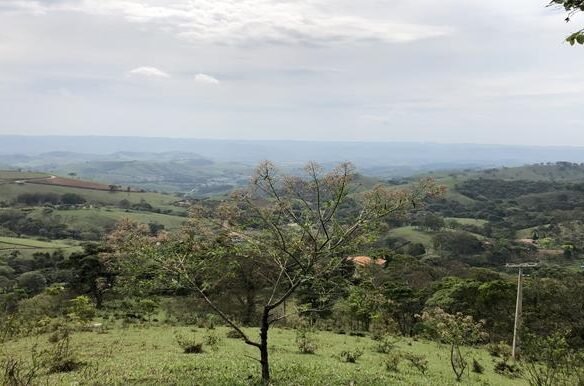 Terreno com Vista Panorâmica a Venda no Córrego do Bom Jesus