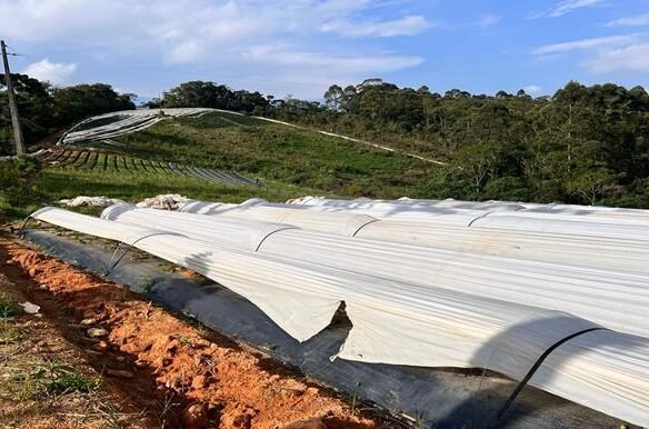 Terreno de 3 alqueires a venda em Senador Amaral MG