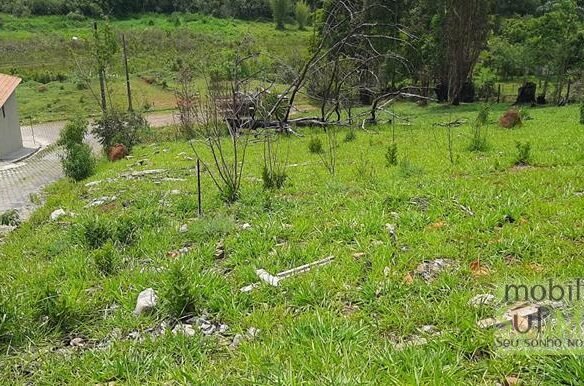 Lote de 269,5 m² a Venda em Cambuí MG