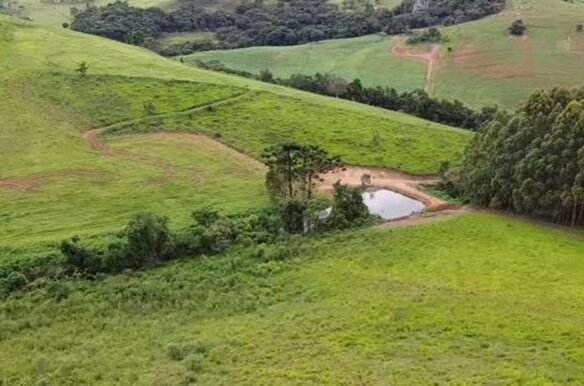 Terreno com 10,22 Hectares  Vista Espetacular a Venda em Senador Amaral MG