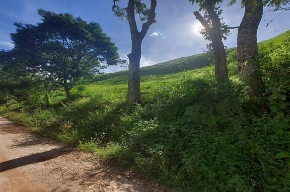 Terreno de 42.800 m² com Cachoeira a Venda em Cambuí MG