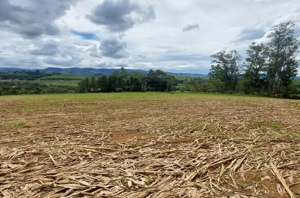 Terreno de 6000m² com vista privilegiada em Estiva MG