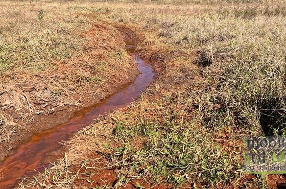 Terreno de 6.000 m² nas Margens da Estrada a Venda em Cambuí MG
