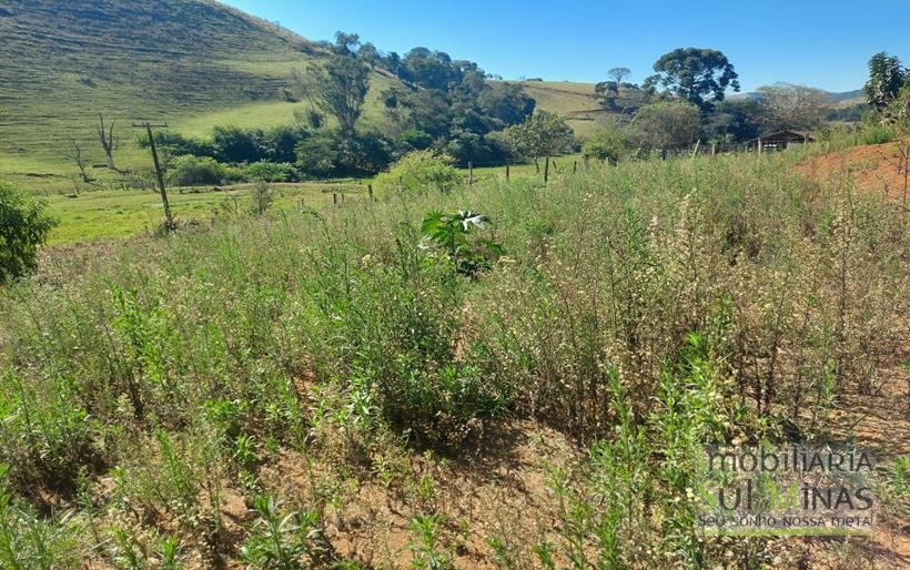 Terreno de 661 m² a 300 metros da Rodovia Fernão Dias a Venda em Cambuí MG Cód. 1749 (1)