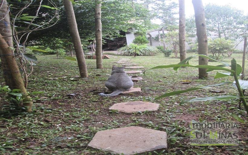 Casa a Venda em Lambari MG Com Vista Para Serra da Mantiqueira Cód. 1683 (24)