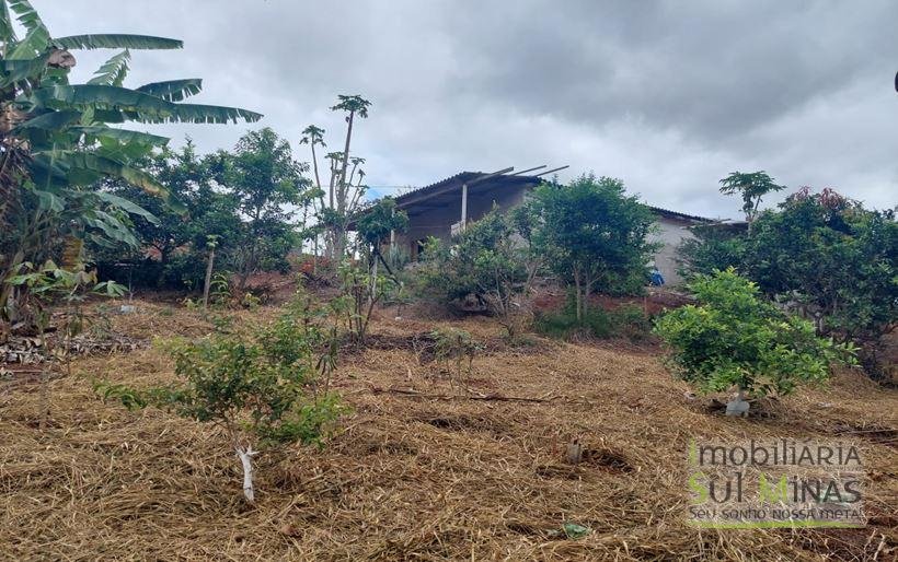 Chácara de 8.000m² com diversas árvores frutíferas a Venda em Cambuí MG Cod. 1775 (17)
