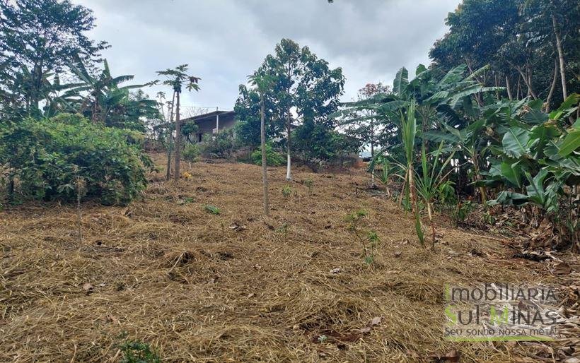 Chácara de 8.000m² com diversas árvores frutíferas a Venda em Cambuí MG Cod. 1775 (18)