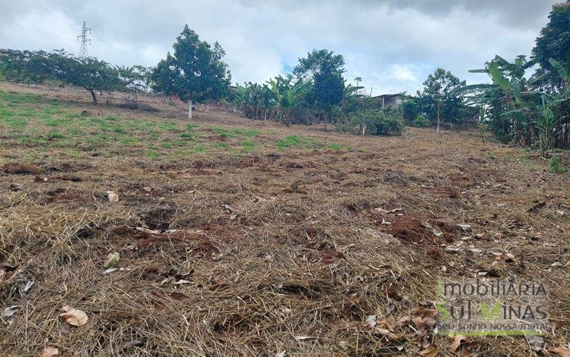 Chácara de 8.000m² com diversas árvores frutíferas a Venda em Cambuí MG Cod. 1775 (24)