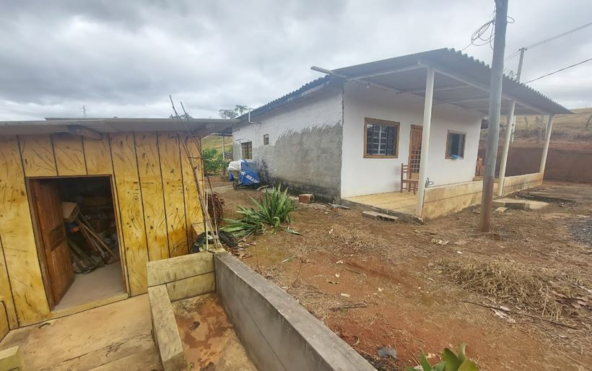 Chácara de 8.000m² com diversas árvores frutíferas a Venda em Cambuí MG Cod. 1775 (3)
