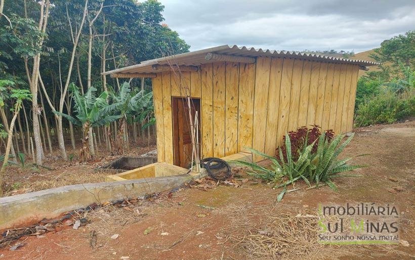 Chácara de 8.000m² com diversas árvores frutíferas a Venda em Cambuí MG Cod. 1775 (4)
