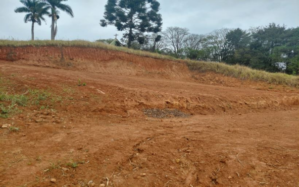 Dois Lotes de 330m² a Venda em Condomínio em Cambuí MG Cod (1)