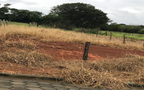 Lote de 160 m² com 8 metros de frente a Venda em Cambuí MG Cód. 1748 (3)