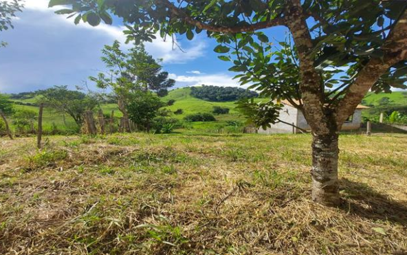 Terreno de 1647m² com Tanque de Peixe a Venda em Cambuí MG Cód. 1648 (3)