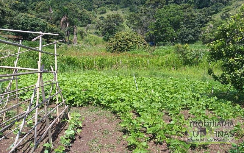 Sítio com Lago a Venda em Cambuí MG Cod. 1800 (10)