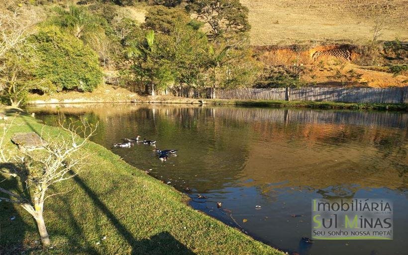 Sítio com Lago a Venda em Cambuí MG Cod. 1800 (17)