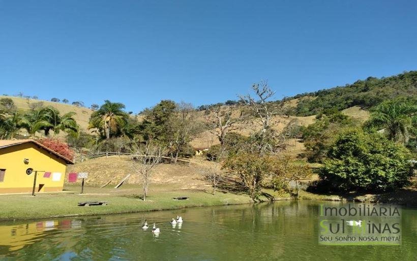 Sítio com Lago a Venda em Cambuí MG Cod. 1800 (19)