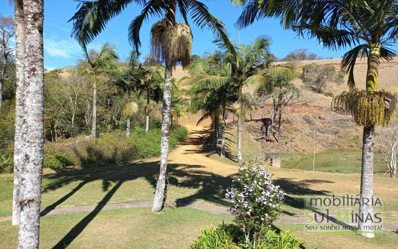 Sítio com Lago a Venda em Cambuí MG Cod. 1800 (20)