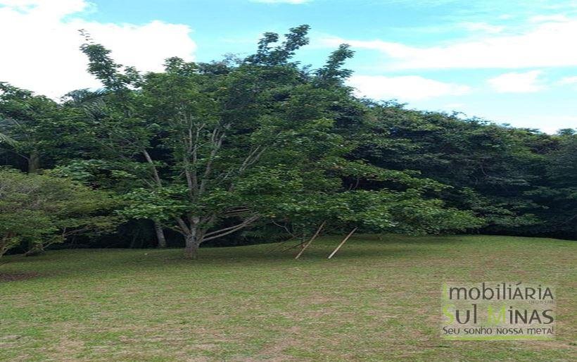 Sítio com Lago a Venda em Cambuí MG Cod. 1800 (9)