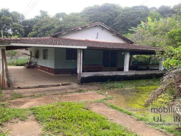 Sítio com 1,5 Alqueires Rico em água a venda em Cambuí MG Cod. 1833 (1)