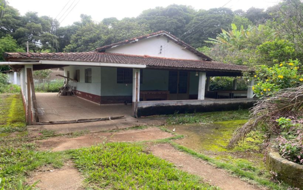 Sítio com 1,5 Alqueires Rico em água a venda em Cambuí MG Cod. 1833 (1)