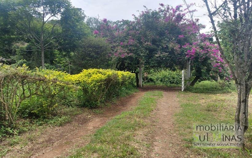 Sítio com 1,5 Alqueires Rico em água a venda em Cambuí MG Cod. 1833 (1)