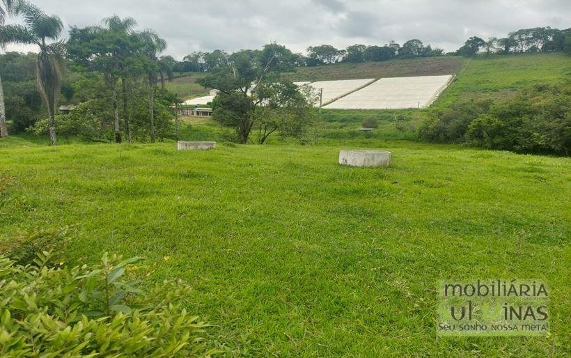 Sítio com 1,5 Alqueires Rico em água a venda em Cambuí MG Cod. 1833 (11)