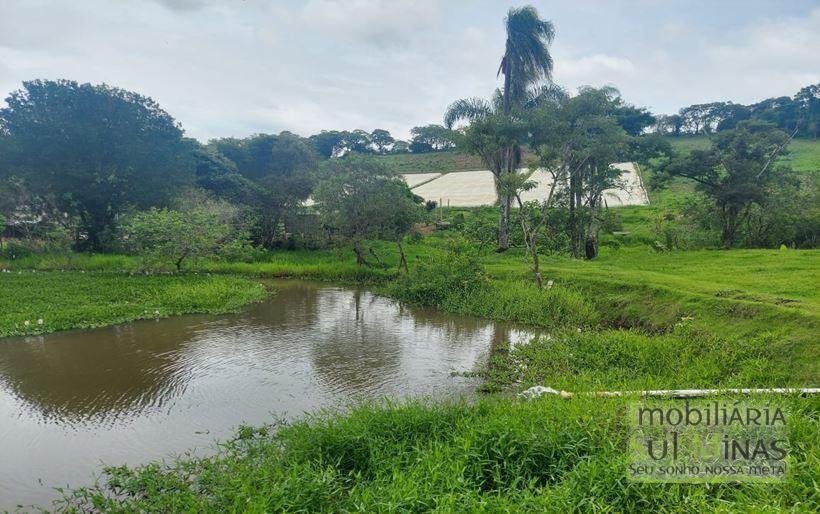 Sítio com 1,5 Alqueires Rico em água a venda em Cambuí MG Cod. 1833 (3)