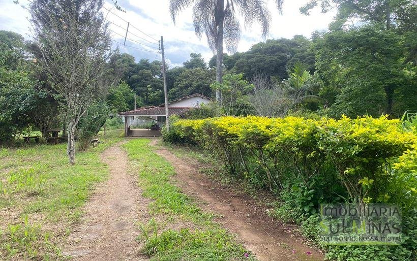 Sítio com 1,5 Alqueires Rico em água a venda em Cambuí MG Cod. 1833 (32)