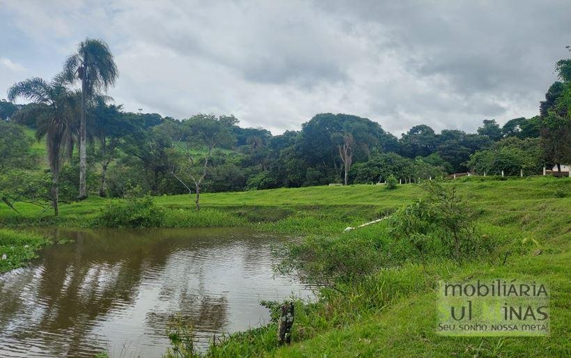 Sítio com 1,5 Alqueires Rico em água a venda em Cambuí MG Cod. 1833 (4)