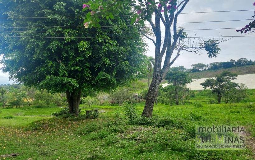 Sítio com 1,5 Alqueires Rico em água a venda em Cambuí MG Cod. 1833 (5)