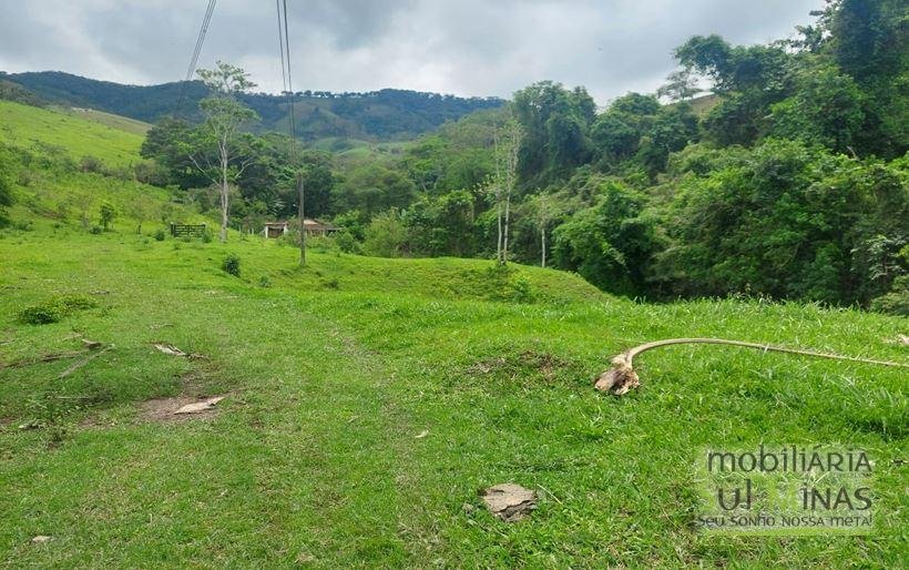 Sítio com 1,5 Alqueires Rico em água a venda em Cambuí MG Cod. 1833 (6)