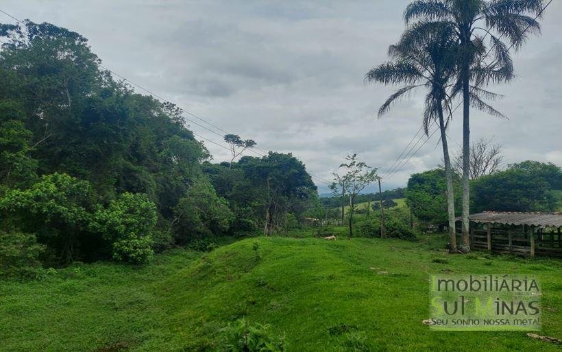 Sítio com 1,5 Alqueires Rico em água a venda em Cambuí MG Cod. 1833 (8)