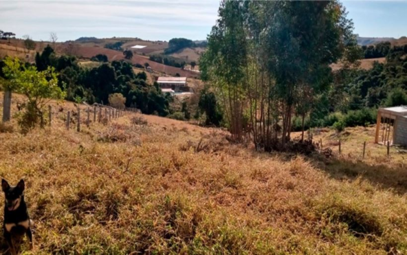 Terreno com Linda Vista a Venda em Munhoz MG Cod. 1835 (3)