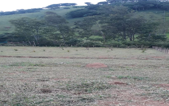 Terreno de 1.000 m² com Ótima Topografia a Venda em Cambuí MG Cod. 1838 (2)