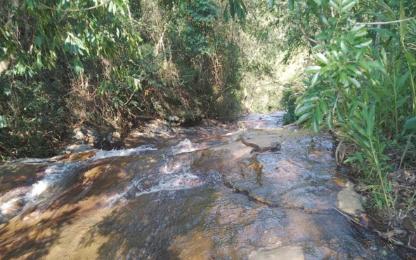 Terreno de 3.000 m² com Cachoeira a Venda em Cambuí MG Cod. 1825 (3)
