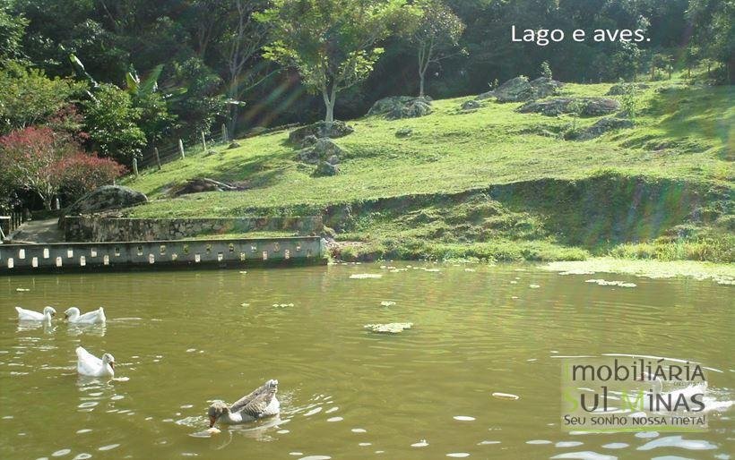 Linda Chácara de 8.000 m² à Venda em Camanducaia MG Cod. 1850 (21)