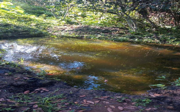 Chácara de 2.000 m² com Água à Venda em Estiva MG Cod. 1866 (5)