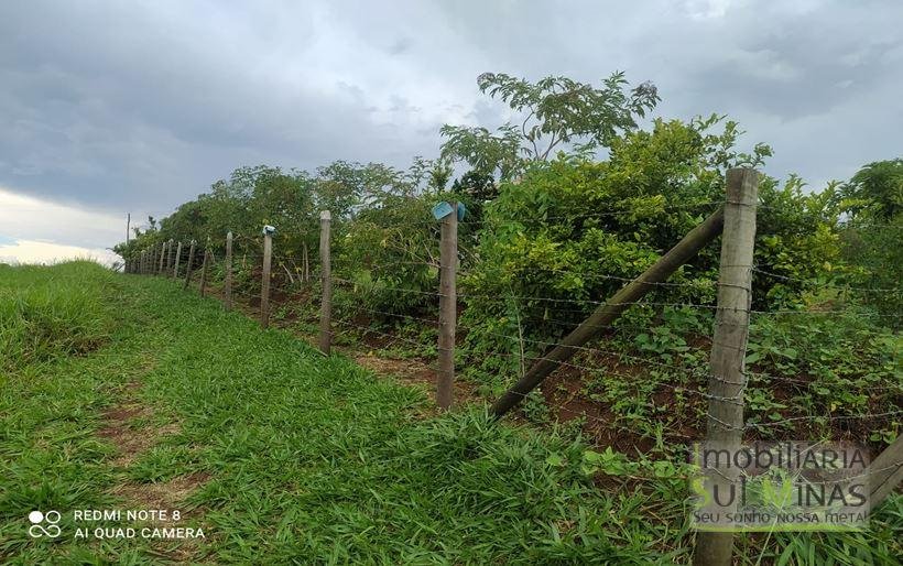 Chácara de 1.000 m² a Venda em Bom Repouso MG Cod. 1890 (14)