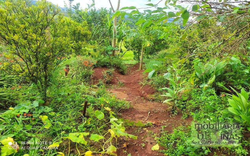 Chácara de 1.000 m² a Venda em Bom Repouso MG Cod. 1890 (5)