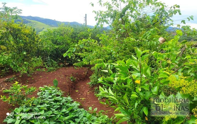 Chácara de 1.000 m² a Venda em Bom Repouso MG Cod. 1890 (8)