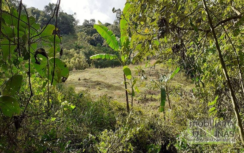 Terreno Rural Próximo a Pontos Turísticos em Córrego do Bom Jesus MG Cód. 1880 (1)