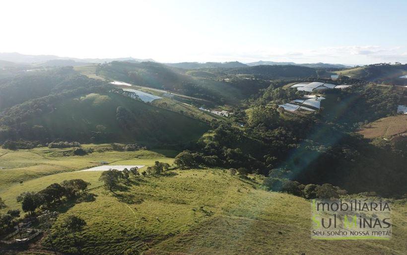 Terreno à Venda com Estrada Própria em Bom Repouso MG Cod. 1883 (7)