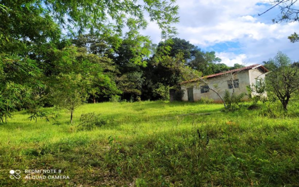 Terreno de 1.700 m² cercado à Venda em Cambuí MG Cod. 1894 (7)