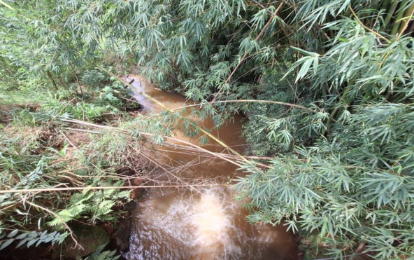 Terreno de 12.590m² a 2,7km da Fernão Dias em Cambuí MG Cod. 1886 (4)