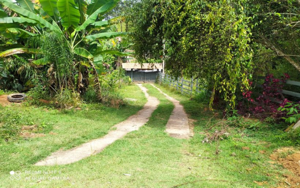 Chácara em Bairro Estruturado de Chácaras no Córrego do Bom Jesus MG Cod. 1917 (15)