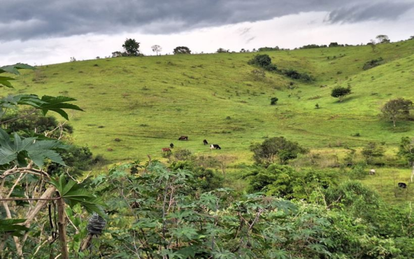 Excelente Terreno Urbano com 3.2 Alqueires a Venda em Cambuí MG Cod. 1903 (3)