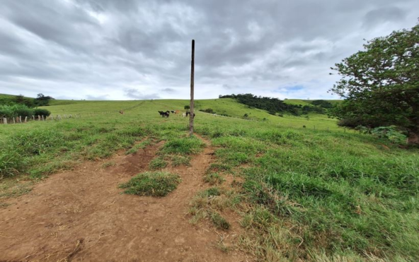 Terreno com nascente d'água a venda em Córrego do Bom Jesus MG Cod. 1940 (9)