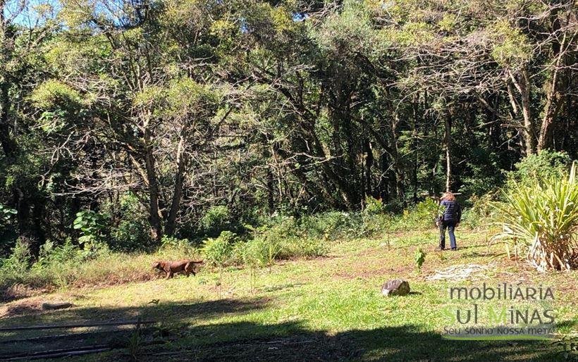 Lindíssima Casa de Inverno a Venda em Monte Verde MG Cod. 1943 (17)